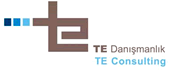 TE Consulting